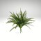 19” Artificial Button Fern Bush – Faux Greenery for Home, Wedding, & DIY Floral Arrangements-83531